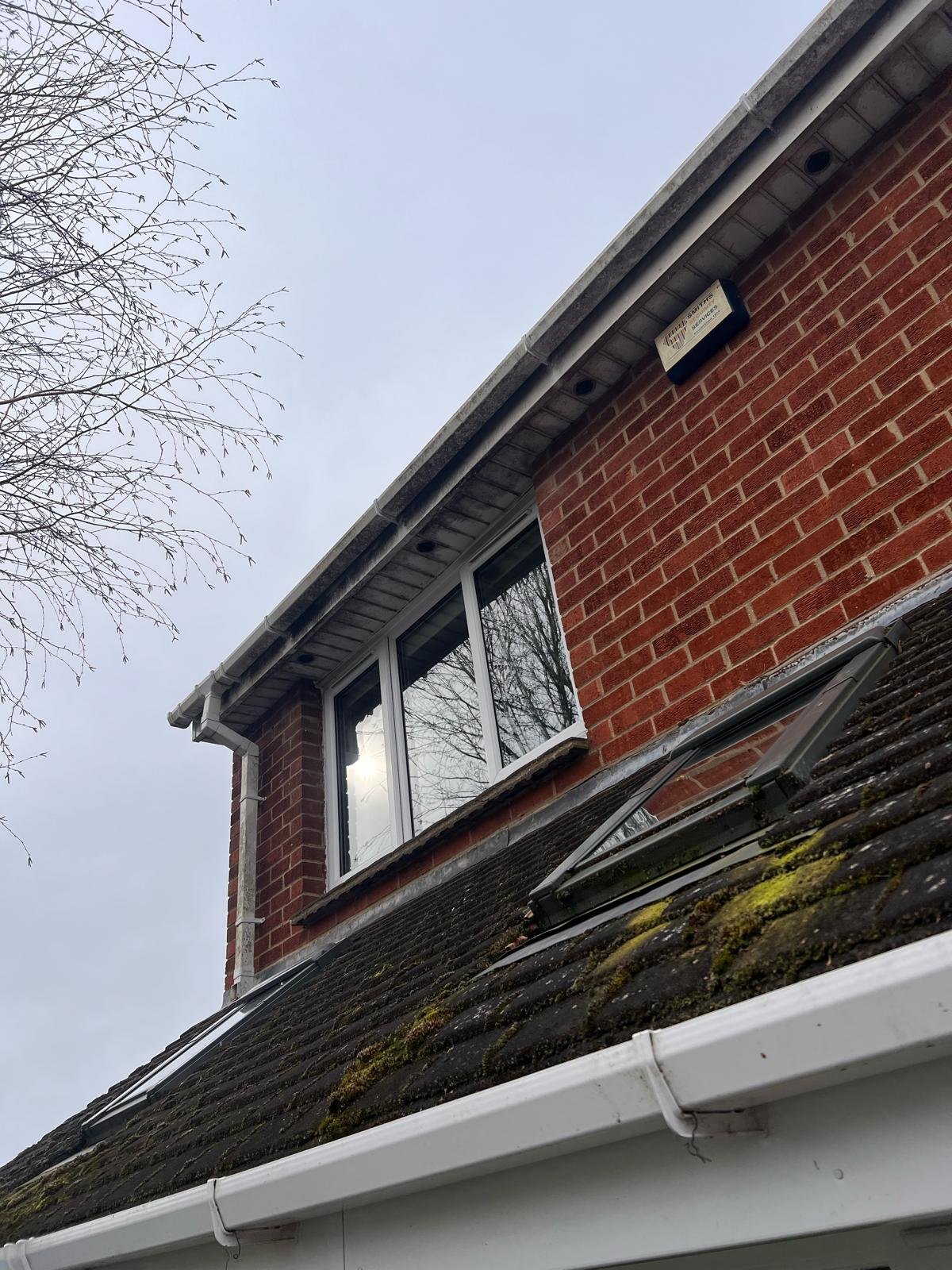 Roof Cleaning in Reading, Berkshire